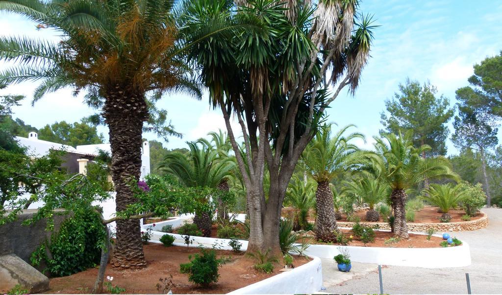 Hacienda Encanto del Rio Playa DPlaya Des Figueral Exterior foto